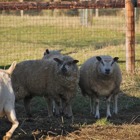 Alloggio in famiglia La Roulotte Du Verger *