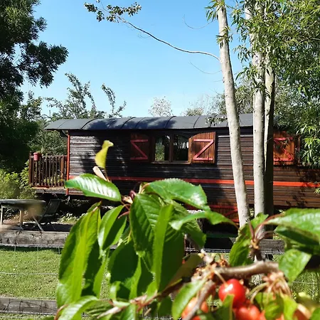 La Roulotte Du Verger Alloggio in famiglia Barneville-sur-Seine