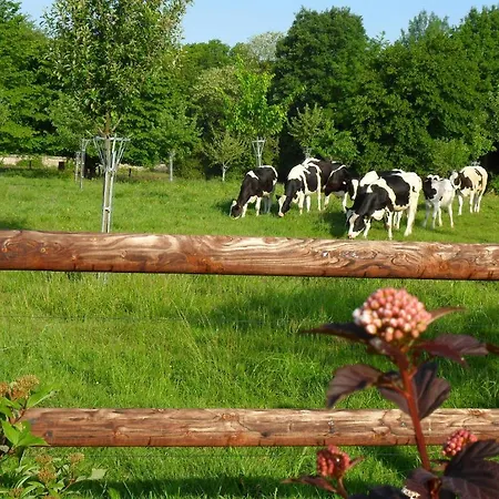 Alloggio in famiglia La Roulotte Du Verger Barneville-sur-Seine